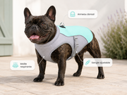 Gilet rafraîchissant menthe et gris avec ses caractéristiques en français : maille respirante, sangle ajustable et anneau dorsal