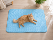 Chat roux couché sur le tapis Fraîcheur IceSilk bleu dans un intérieur lumineux
